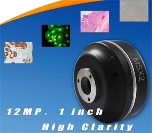 AOB MSX2-H 12MP Microscope sCmos Image Eyepieces