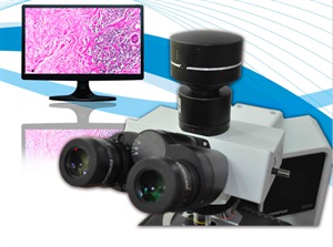  AOB MS60-6.4 MP Microscopes Scmos Image Eyepiieces-USB 2.0 - 3.0