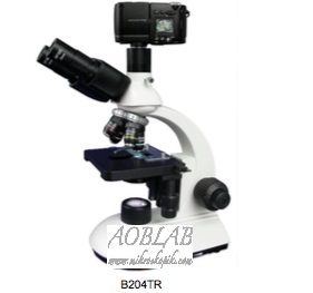 AOB SF B204-TR/L Trinokler Biyolojik renci Mikroskobu - LED Plan Achromat