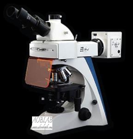 AOB SF BK-FL2 Model Trinokler Flerosan Atamanl Aratrma Mikroskobu